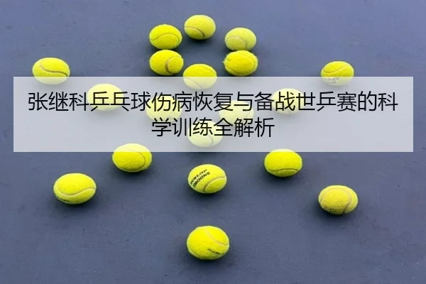张继科乒乓球伤病恢复与备战世乒赛的科学训练全解析